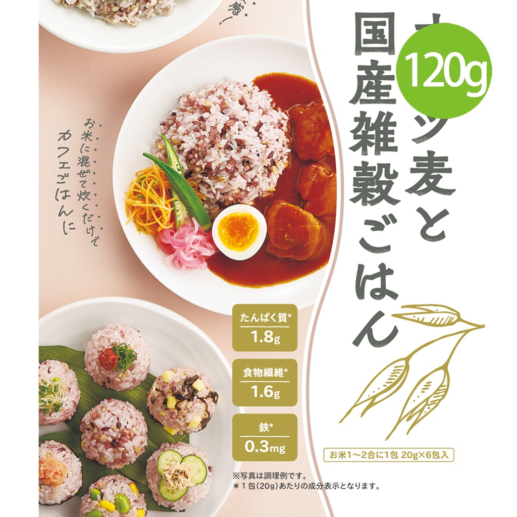 日本製 種商 燕麥和日本雜糧米 120g (20g x 6包) [4953575128968]