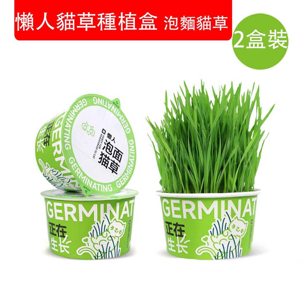 2X 懶人貓草種植盒 [2盒] 懶人泡麵貓草 無土猫草盆栽 貓咪促消化吐毛球 改善口腔環境 貓咪腸道健康調理 貓貓零食 寵物用品 (包裝隨機)
