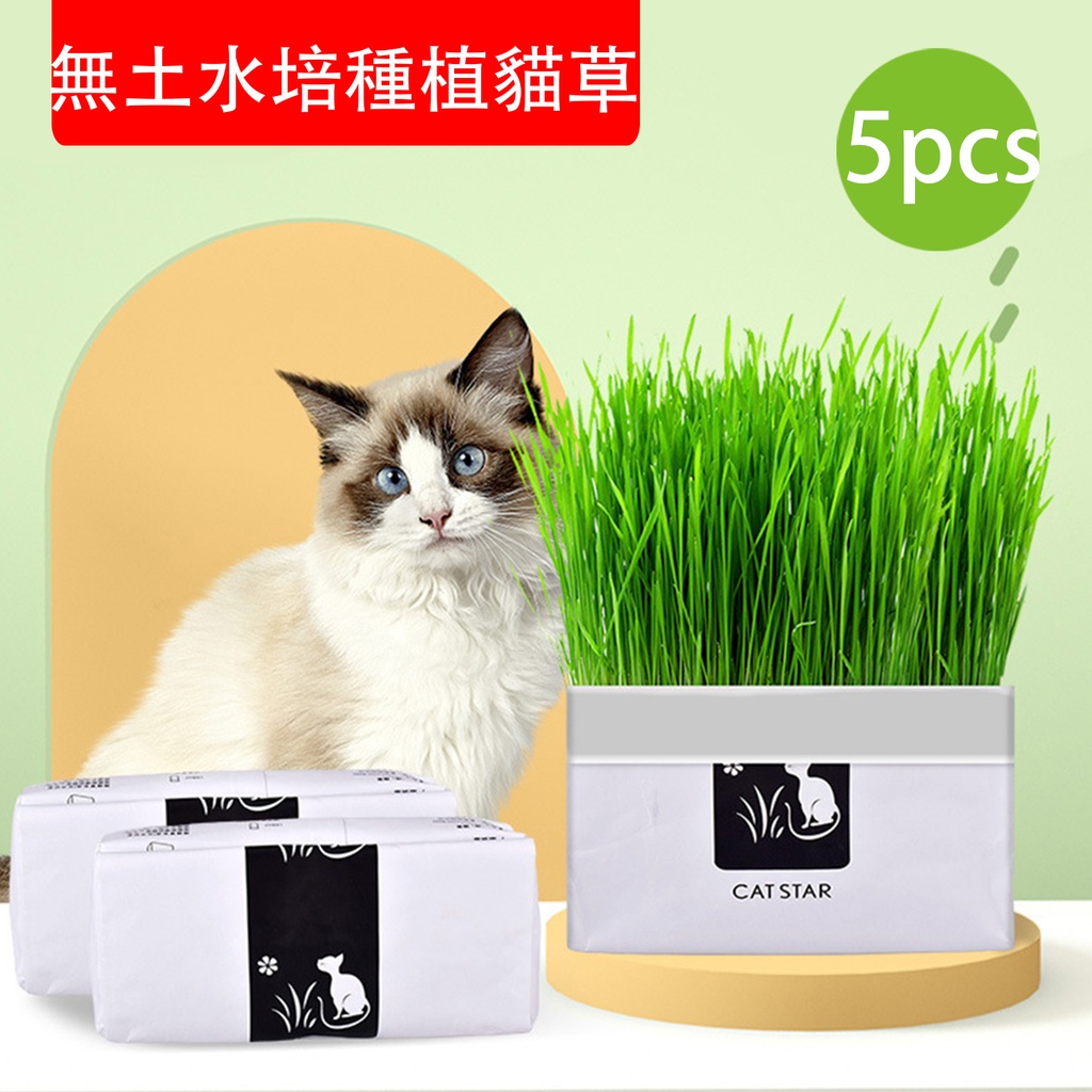 5X 無土水培種植貓草 [5包] 懶人無土猫草 貓咪促消化吐毛球 改善口腔環境 貓咪腸道健康調理 貓貓零食 寵物用品 (包裝隨機) 