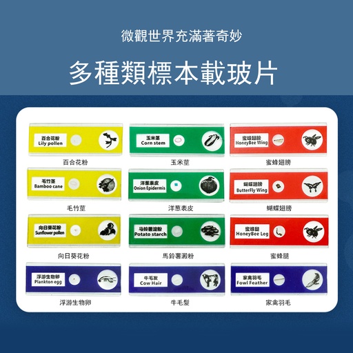 [ToyKids77] 12X 臺式科學顯微鏡多種類標本載玻片